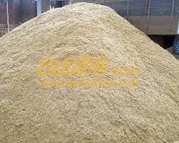 Cover image for Sand price in Sri Lanka