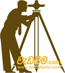 Cover image for Land Surveyor - Colombo