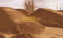 Sand Price in Sri Lanka - Kandy