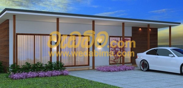 Cover image for Container House Designs