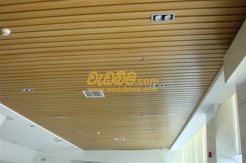 Cover image for I - Panel Ceiling