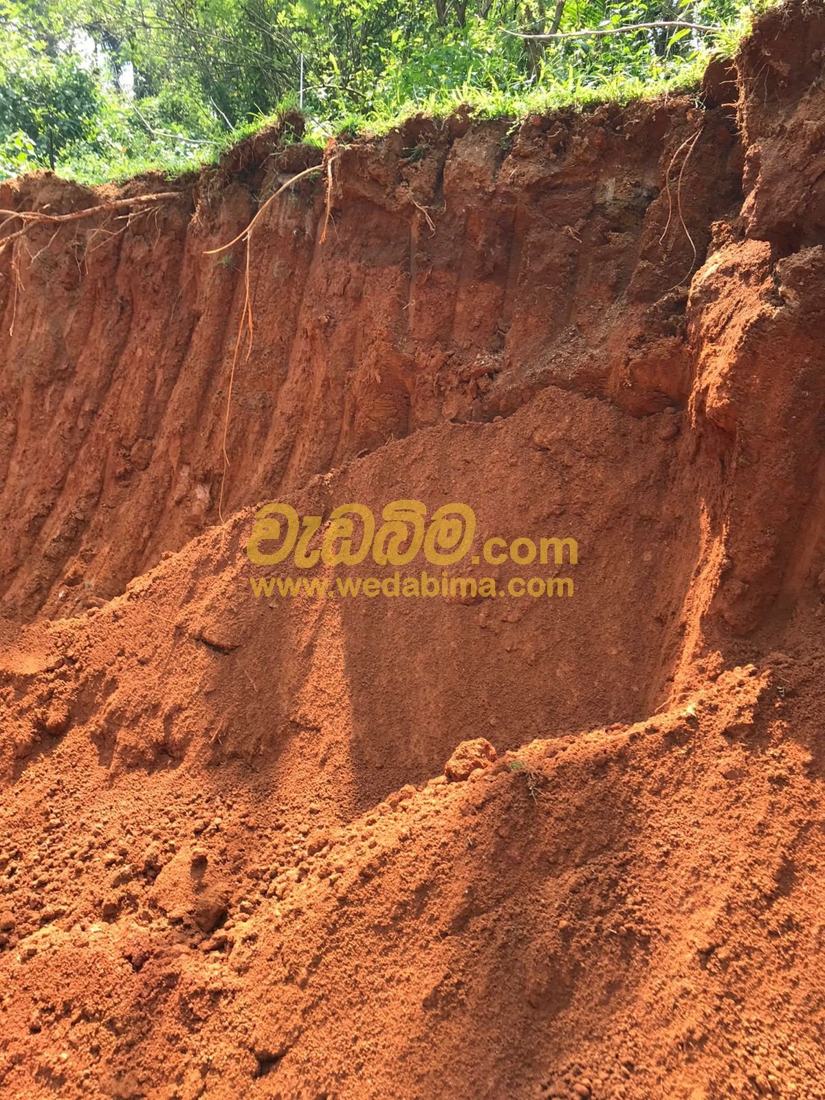 Other image 202411/wedabima.com_sIU8DBKQSncoHZ5la2uFDb56w2mbfWZS9F2KMIak.jpeg