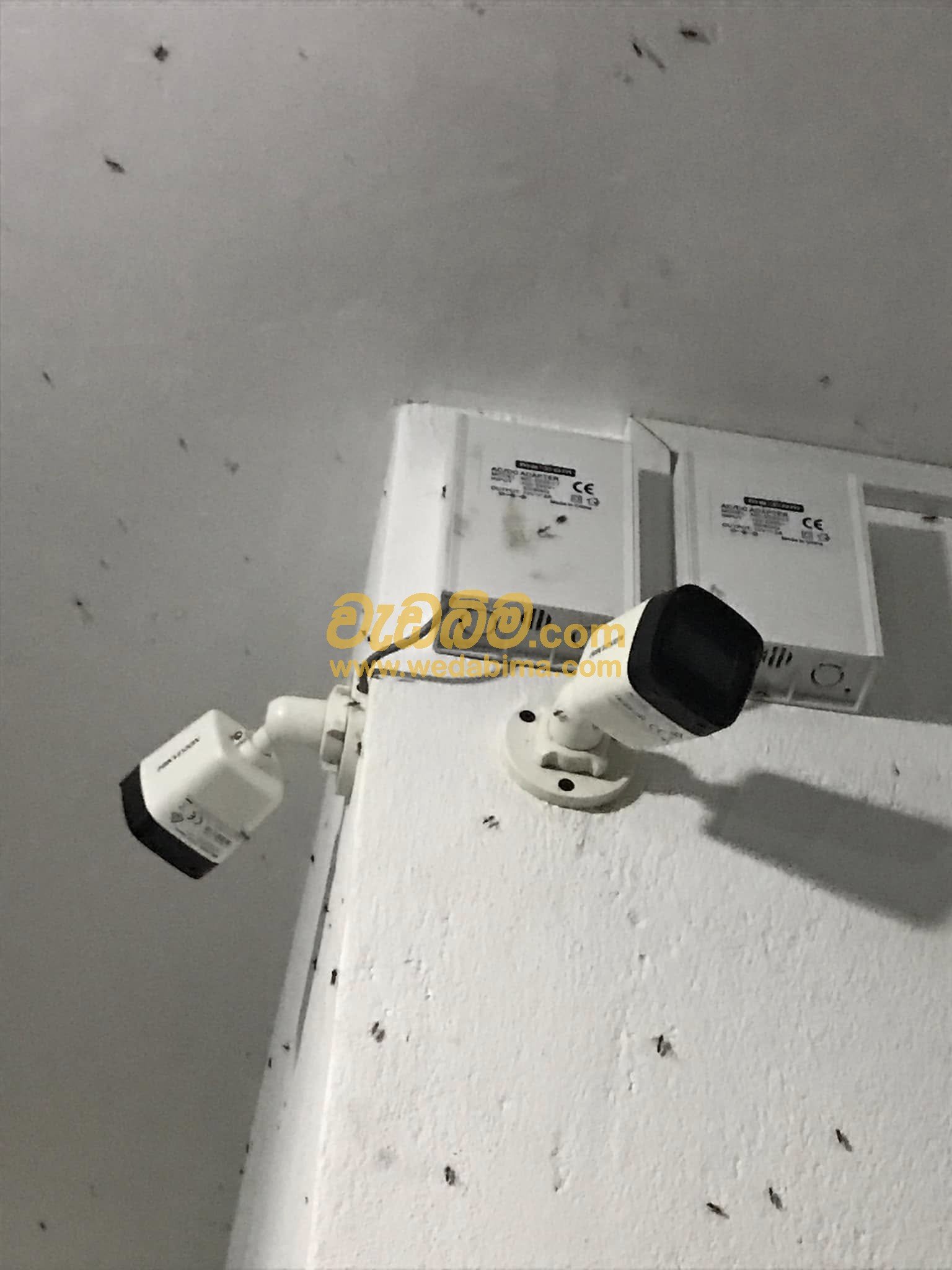 Other image 202504/wedabima.com_YAQwEUIULj0OYrMGfeqkRrVLHP2CkS3FPaLgFiVQ.jpeg