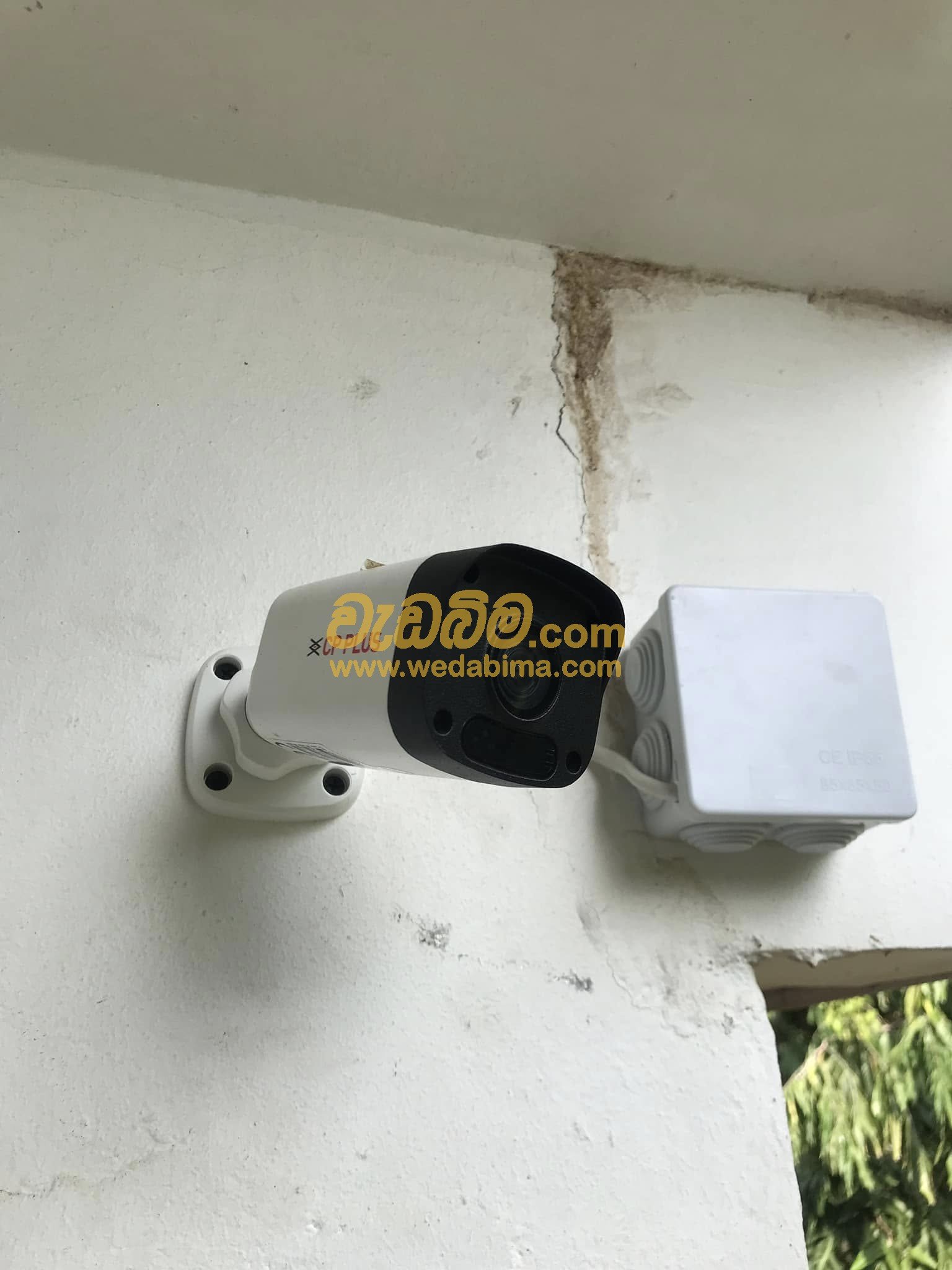 Other image 202504/wedabima.com_vZLAtwbA2yRGaZJUbPYeXuZsGodPTmixvBaO19pf.jpeg