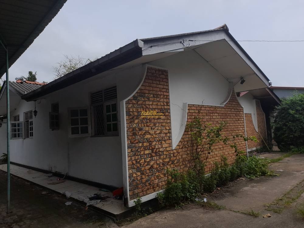 Other image 202505/wedabima.com_YQ8pV0F2oeYSydYc3TtmzFxz5hv3bYZemGKL0K6K.jpeg