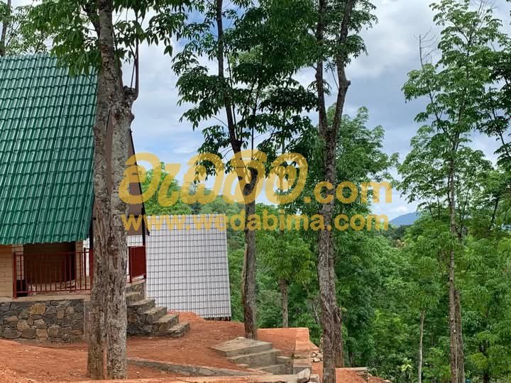 Other image 202506/wedabima.com_PvRaD8AMuKf4B8uVIvYjSmoKJoxDJqB0twktVPdC.jpeg