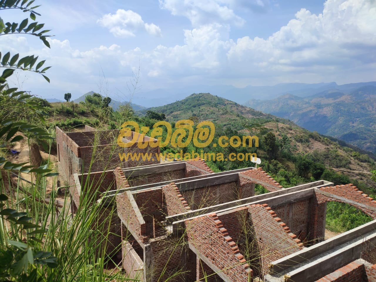 Other image 202506/wedabima.com_cT1wjZbgvblseg5npdb0kwyZJhdaM9yZDbheRlTg.jpeg