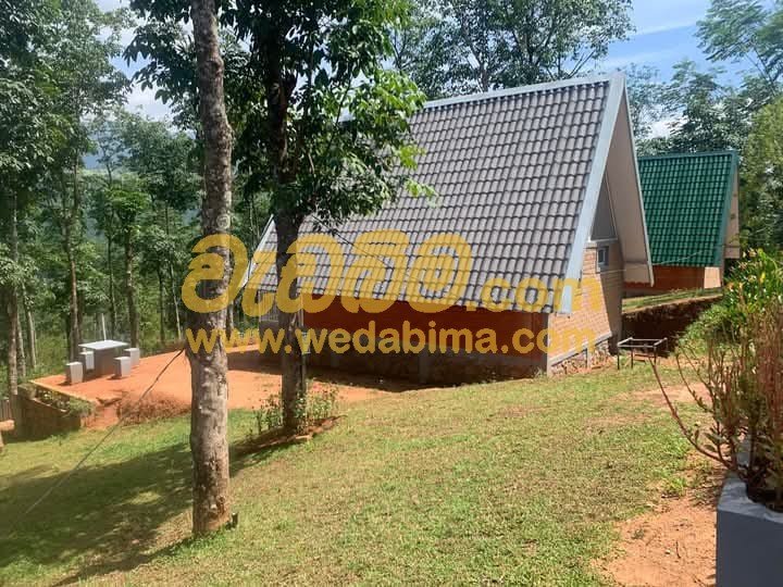 Other image 202506/wedabima.com_gga7qjouyn71eGZStdZPopKJG8VLkn9NOrtJ2NAR.jpeg