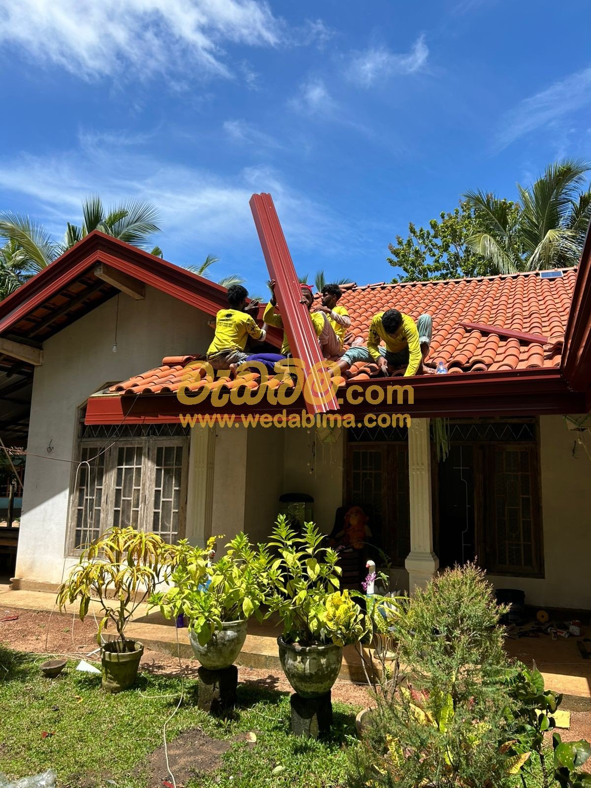 Other image 202506/wedabima.com_i0aN46MylmmOpXoLUQXo61mK7M2ayY8naNk8aT3f.jpeg