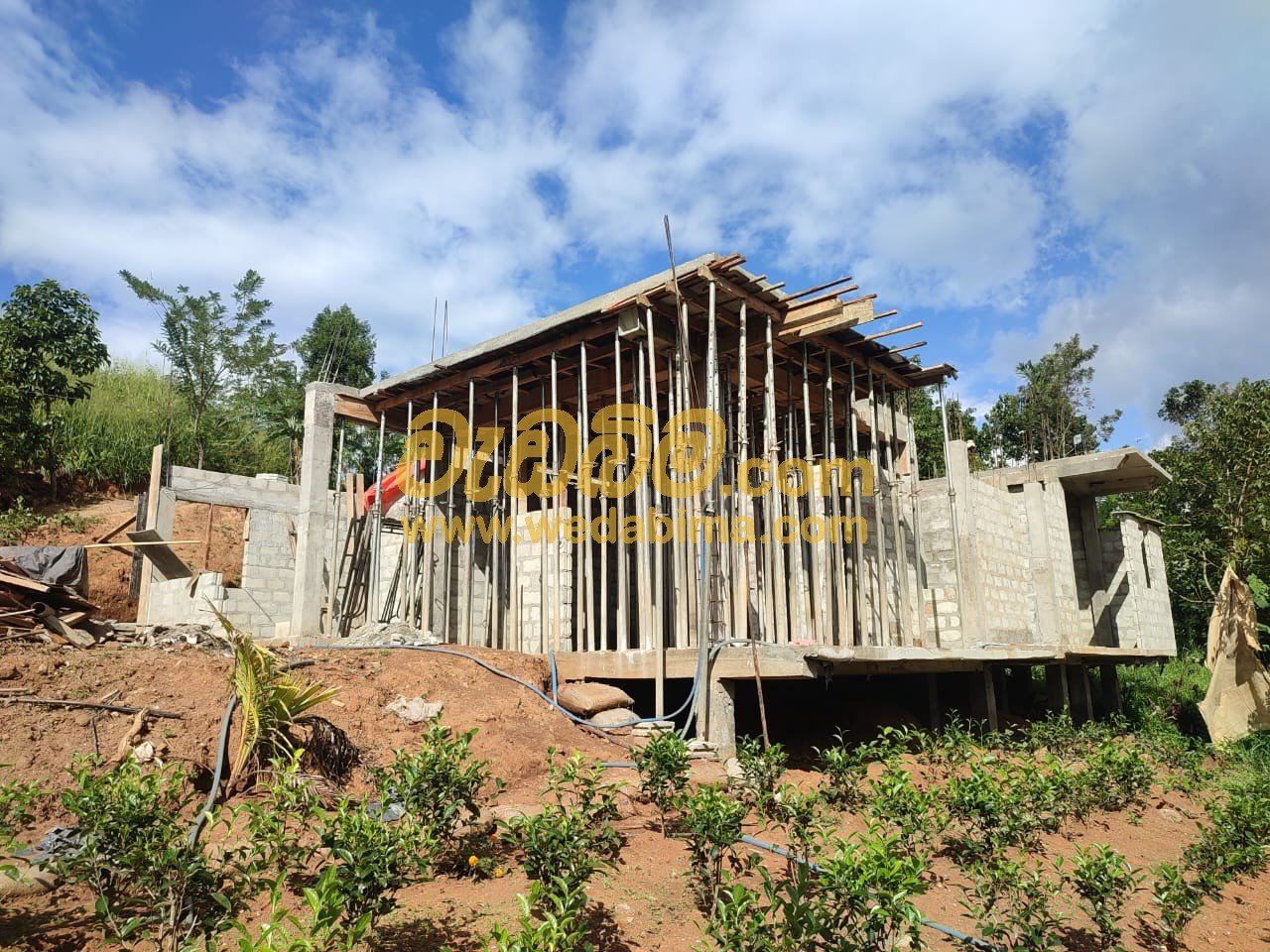 Other image 202506/wedabima.com_ySSnclmVOSYjhMpenSuT4DoxT5G4qYCAlOrvPpFc.jpeg