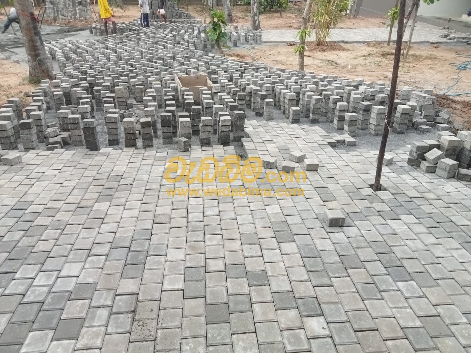 Other image 202507/wedabima.com_63PjUAlOUERLKllap34ItBpbh4bZvSX5IzVISprH.jpeg