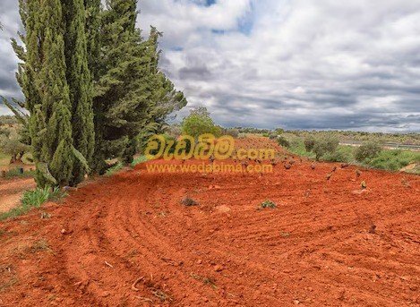 Other image 202507/wedabima.com_7ljqmyAyze5mKACxOnBMdKIY2DPiAEWbZoeG8rni.jpeg