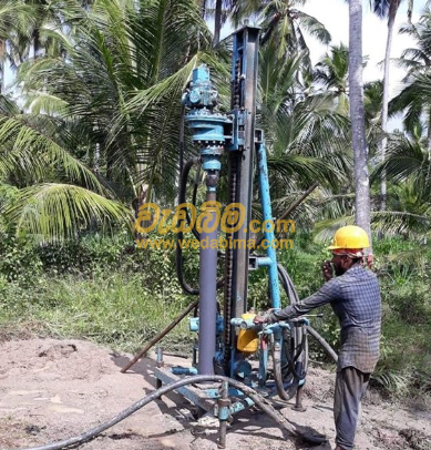 Other image 202507/wedabima.com_BPuZd6mvoJfOJyal8fa08HmfXpeWz78faLy2VbLj.png