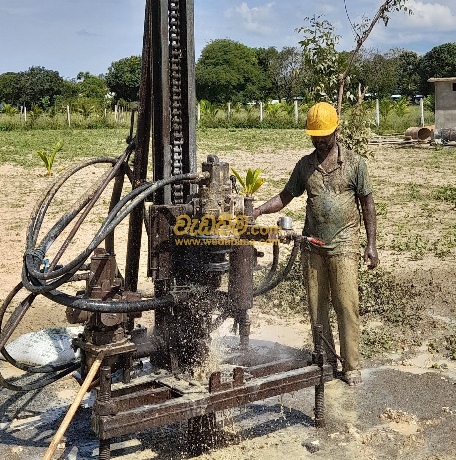 Other image 202507/wedabima.com_CXQLlKQpfmOChXDDVjiywoSrUG9tgSCxNlhBwOcT.jpeg