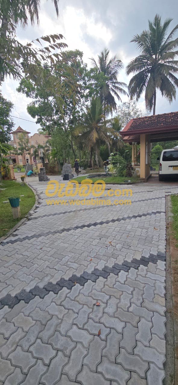 Other image 202507/wedabima.com_DSxpqu1e8V0gruBY4ZdfirBsYtRPcAEPh6KzsLmq.jpeg