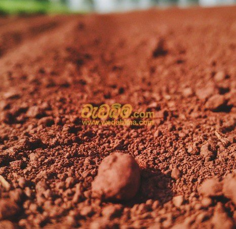 Other image 202507/wedabima.com_OQy7kHYbshlfOO7PAVT6jeGIhv695J5XbVVmK6ZS.jpeg