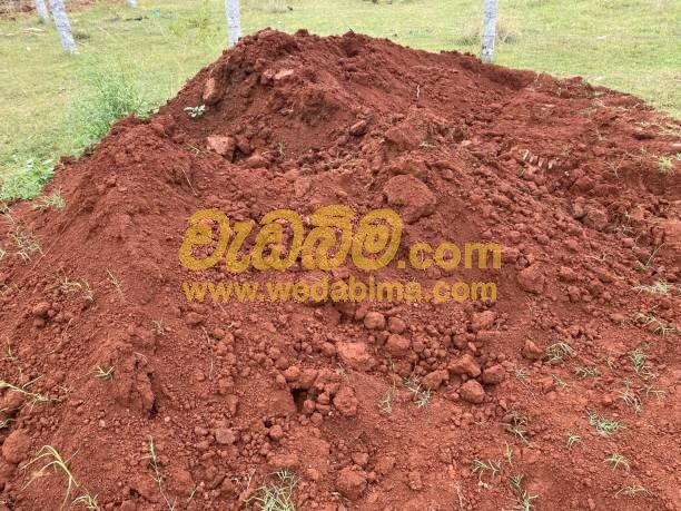 Other image 202507/wedabima.com_Yv38WH1tVqiHUaws0T98ZHgkWJDC15QLZhip8mWX.jpeg