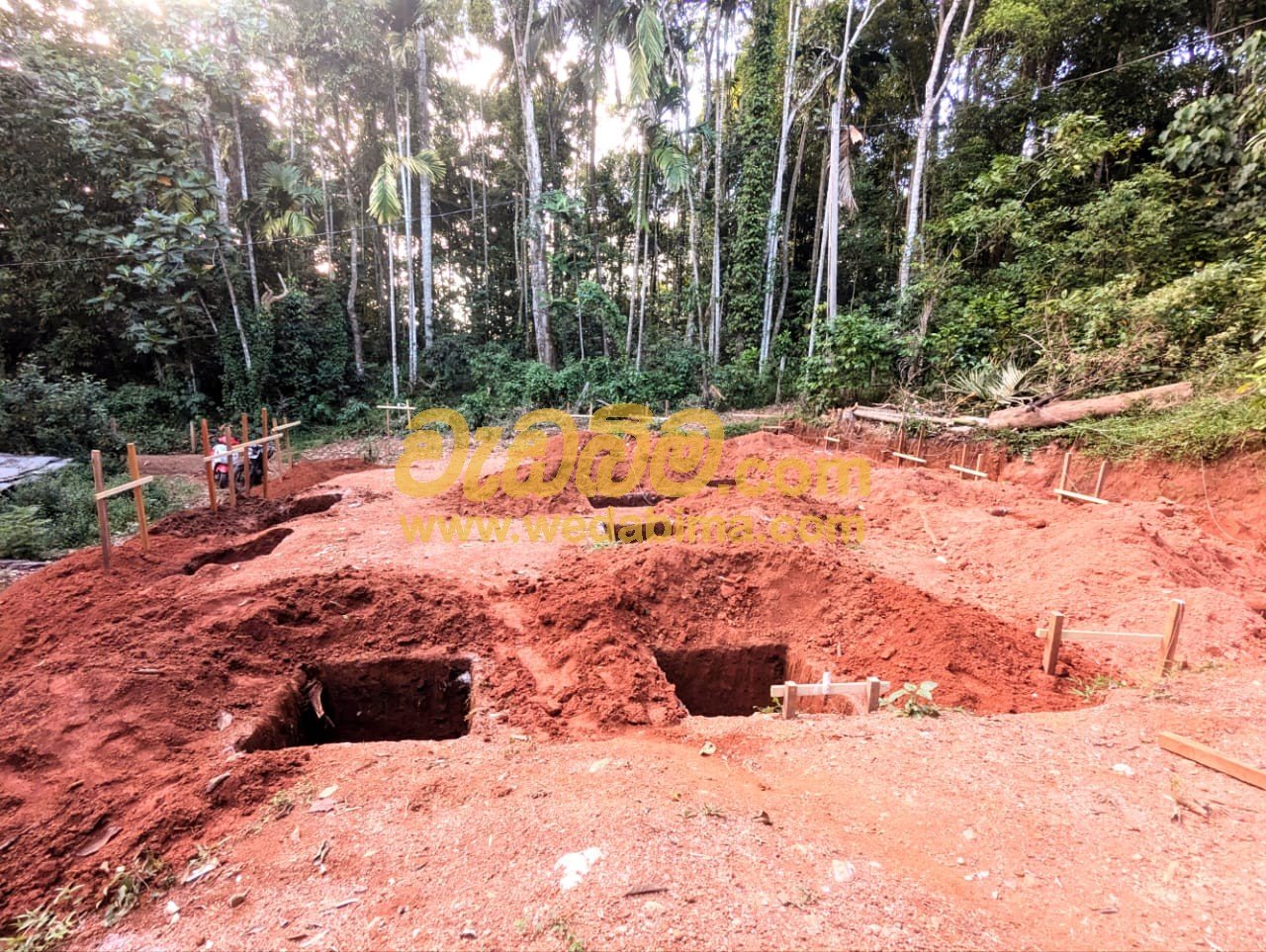 Other image 202507/wedabima.com_qlsa7vTy3N6U8EeQbAoCJmtZ3Xb3CukqPy1CoNhw.jpeg