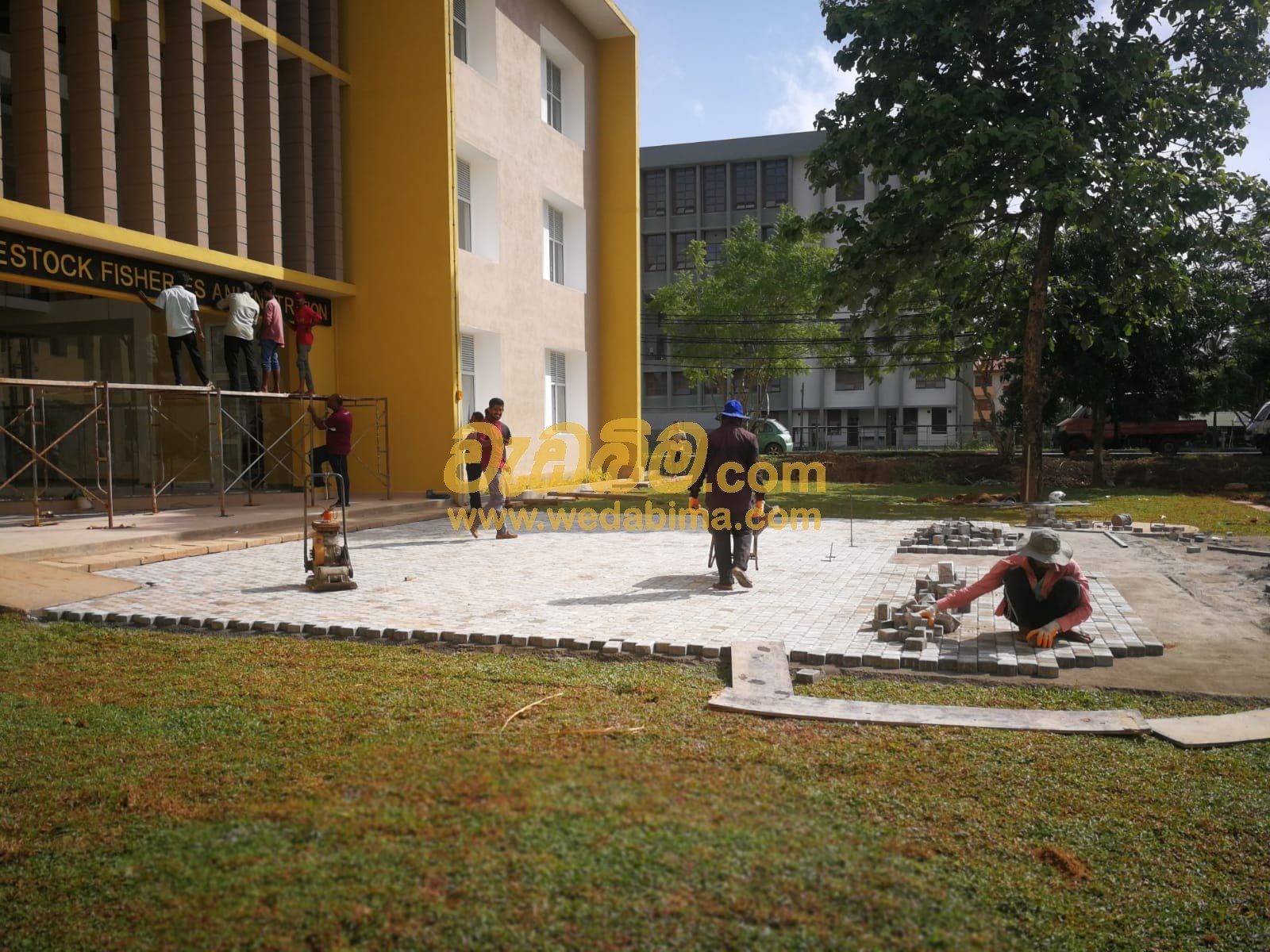 Other image 202507/wedabima.com_vN0IJu1X7CuOrT5uveonpgpctlMJF0ShMa6HGLfM.jpeg