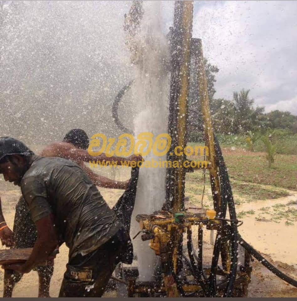 Other image 202507/wedabima.com_zk7Ni0zQukSKgYGjlmjajzLe6pmTTE4ZAnf05dpQ.jpeg