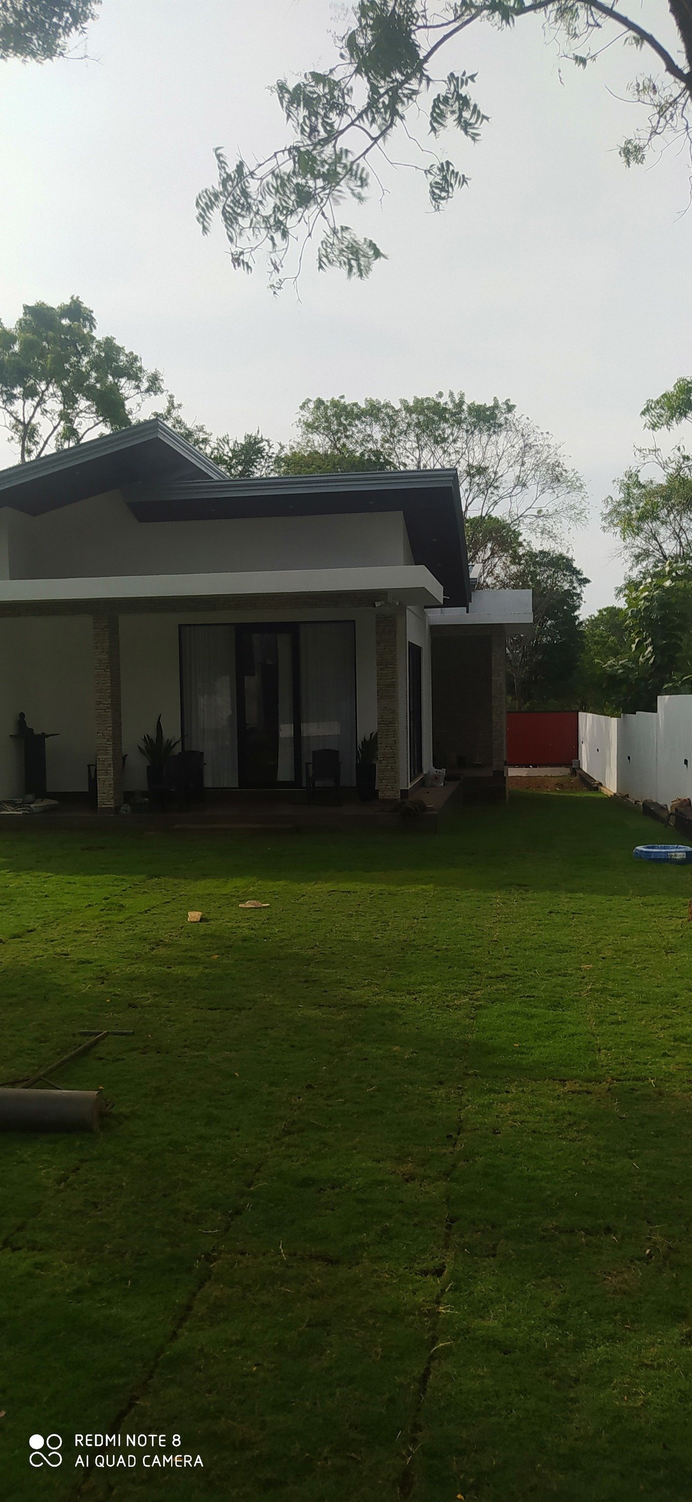 Other image 202508/australian-grass-suppliers-in-negombo-wedabima-cc0a572442.jpg