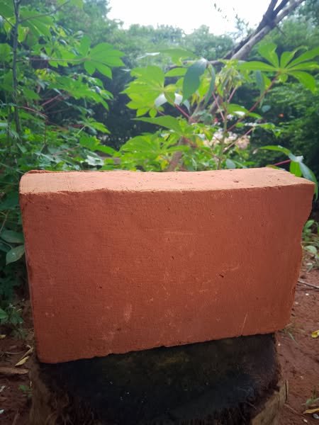 Other image 202508/clay-bricks-price-in-polonnaruwa-wedabima-edfcda3038.jpg
