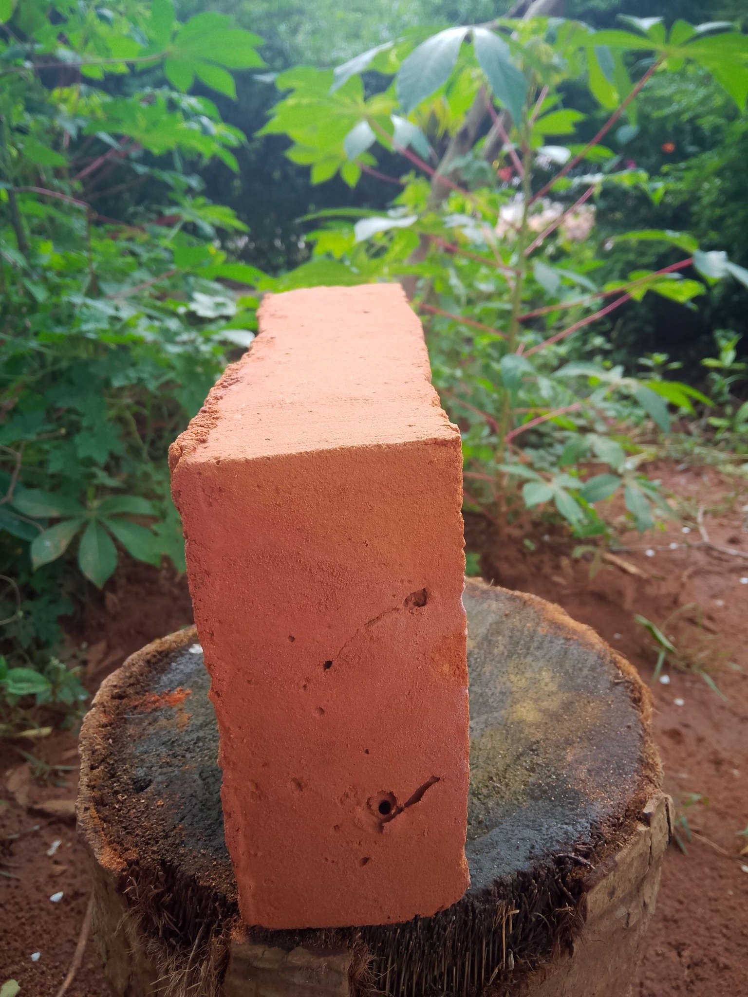 Other image 202508/clay-bricks-price-in-polonnaruwa-wedabima-f0c2bd6fa3.jpg