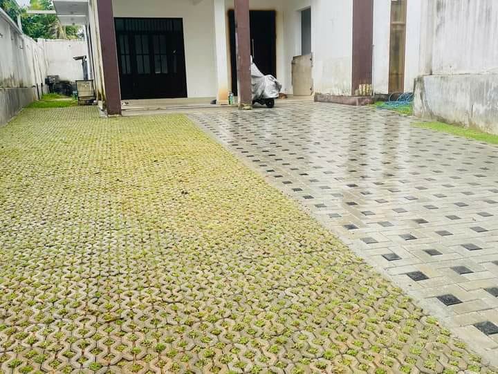 Other image 202508/interlock-garden-design-price-in-sri-lanka-wedabima-e424d7ba07.jpeg