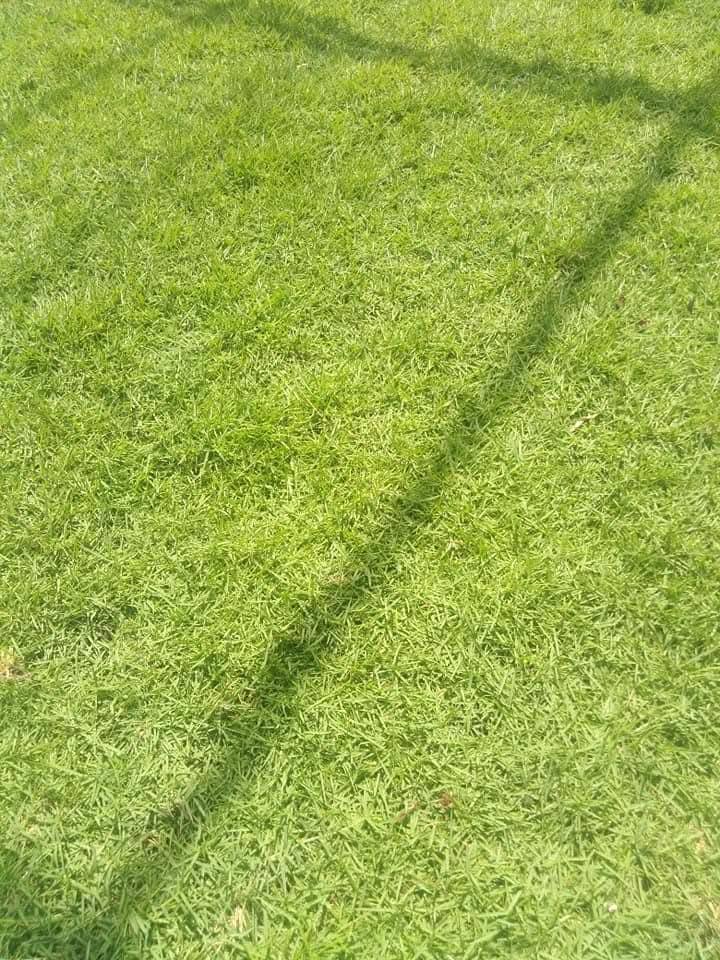 Other image 202508/landscaping-prices-in-gampaha-wedabima-6076f50864.jpg