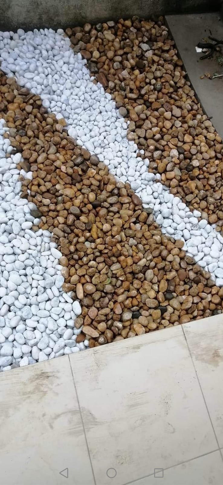 Other image 202508/landscaping-solutions-colombo-wedabima-d2f0908829.jpeg