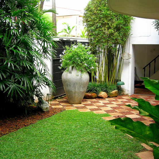 Other image 202508/malaysian-grass-price-in-halawatha-wedabima-bca7503c2c.png