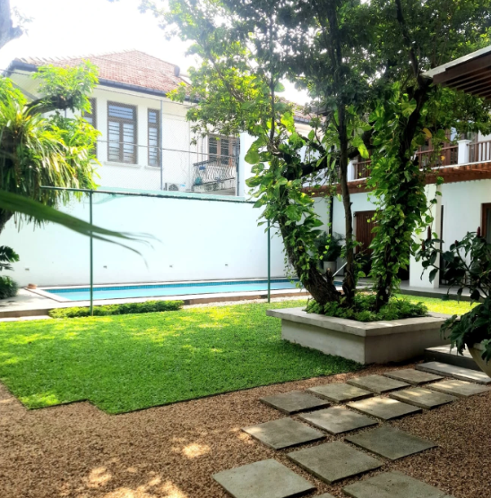 Other image 202508/malaysian-grass-suppliers-in-wennappuwa-wedabima-1f6078e4b6.png