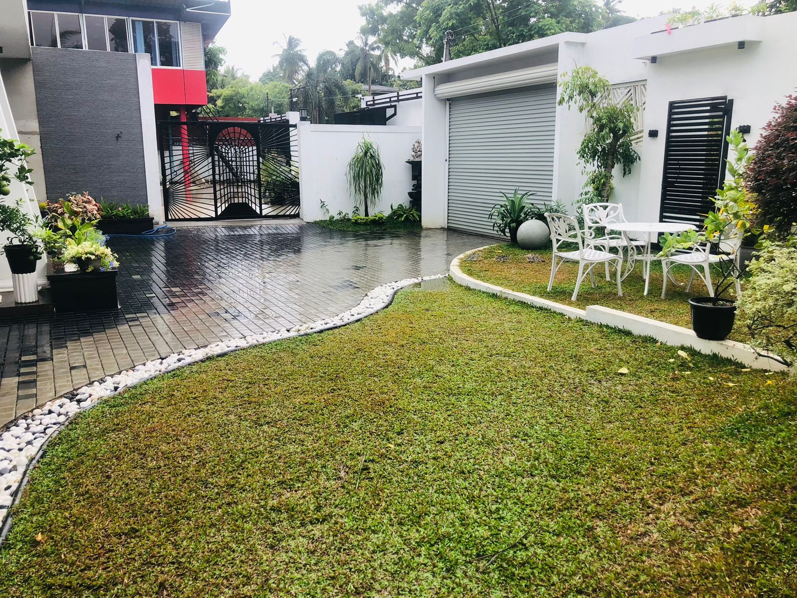 Other image 202509/australian-grass-price-kottawa-sri-lanka-wedabima-43a392fe41.jpeg