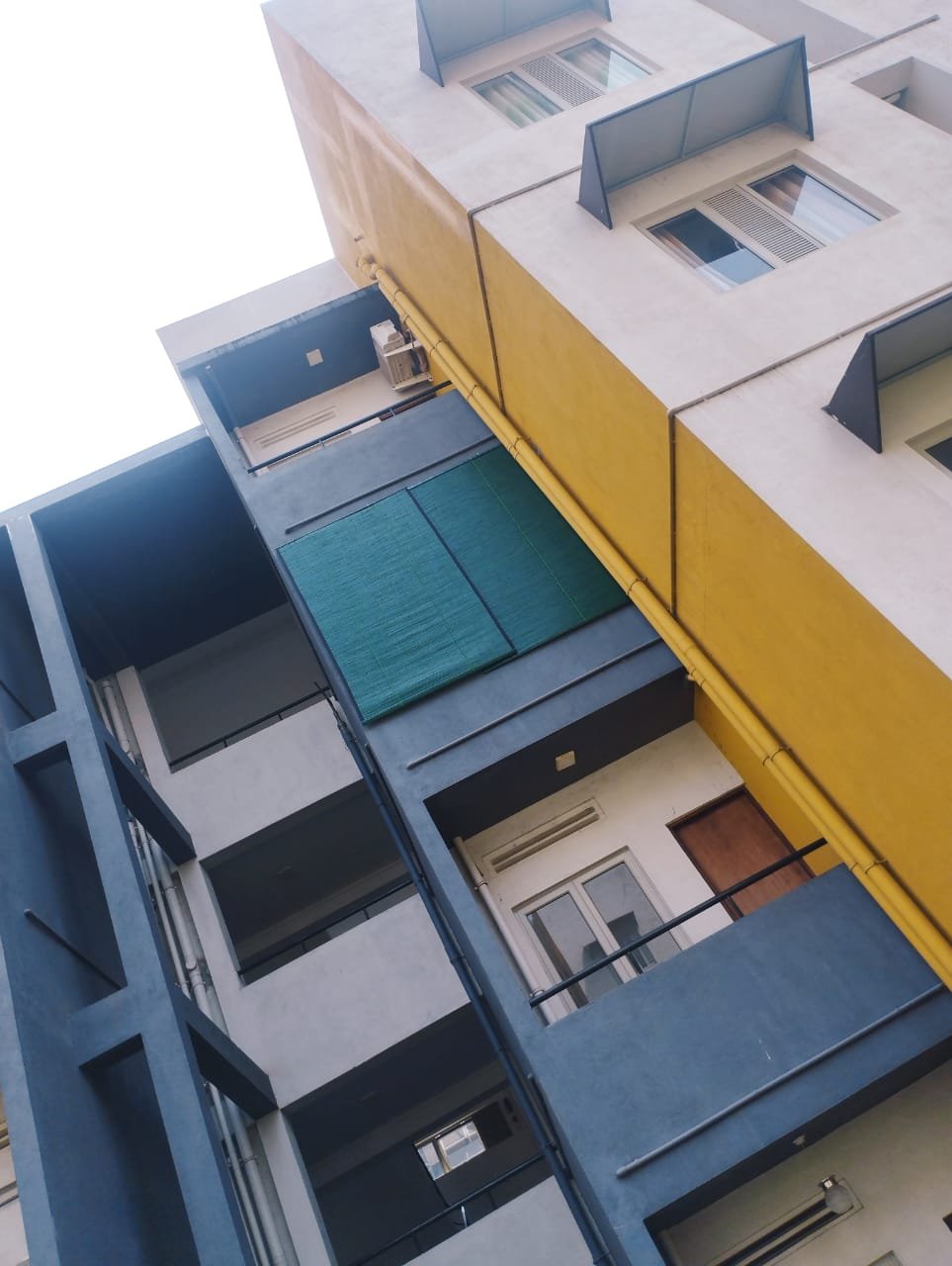 Other image 202509/bata-palali-in-sri-lanka-wedabima-58dd3b40f5.jpeg