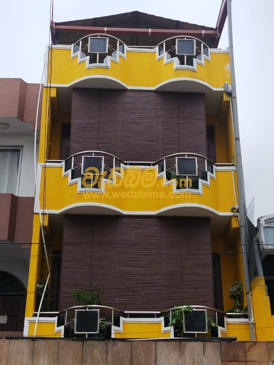 Other image 202509/bata-palali-in-sri-lanka-wedabima-72c6444d99.jpeg