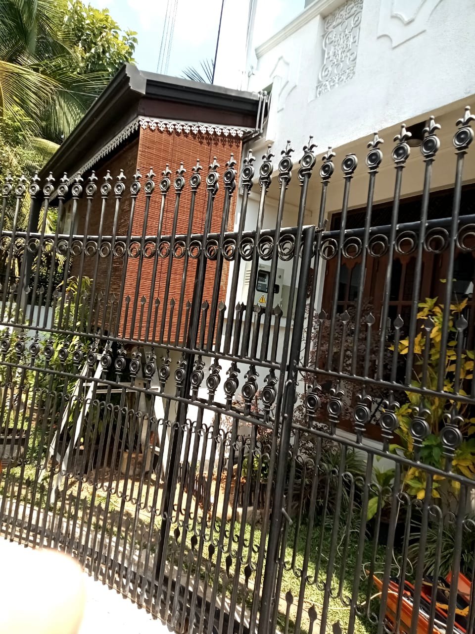 Other image 202509/bata-palali-in-sri-lanka-wedabima-7c51ab7cca.jpeg