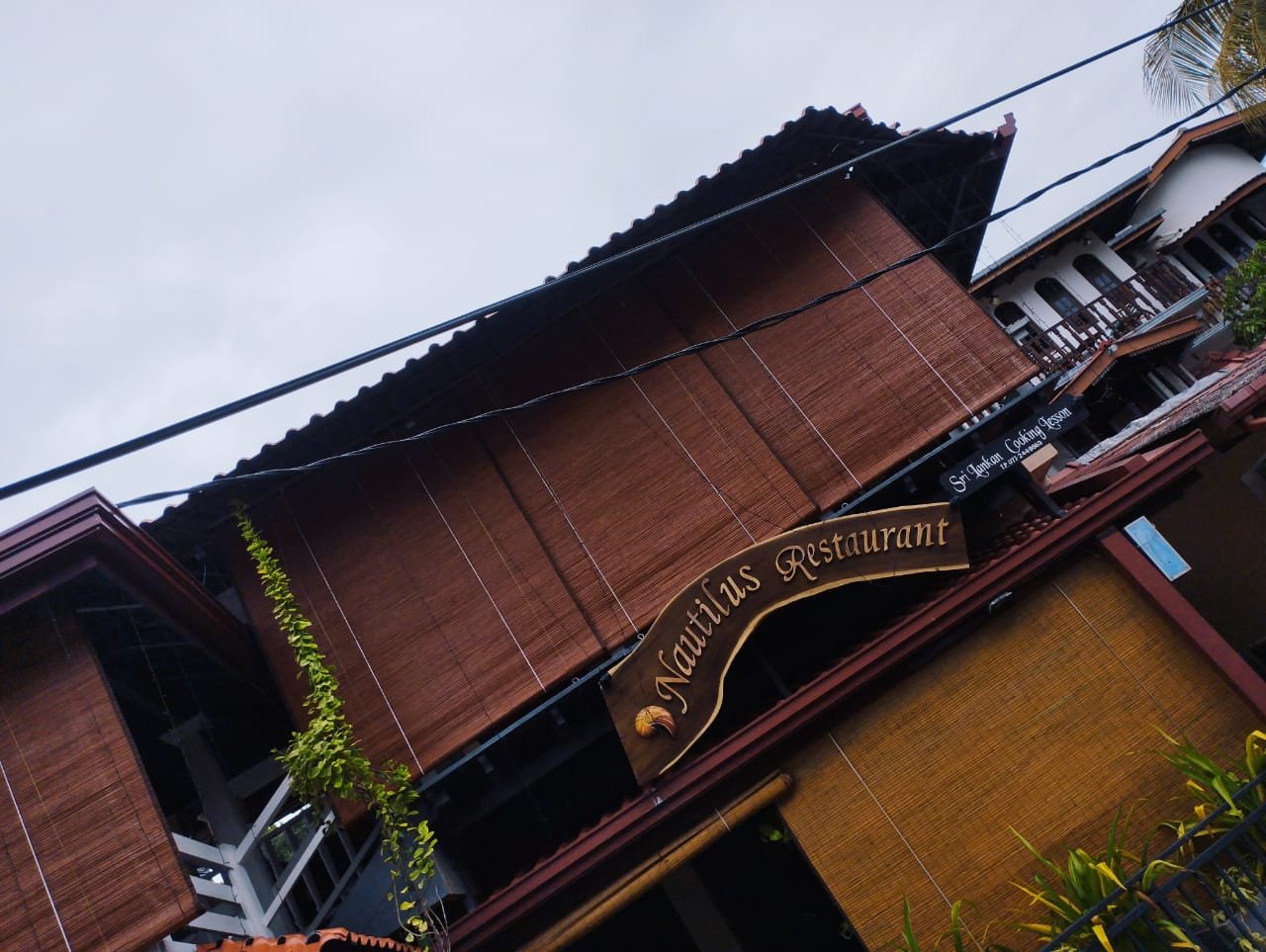 Other image 202509/bata-palali-in-sri-lanka-wedabima-ff8751db32.jpeg