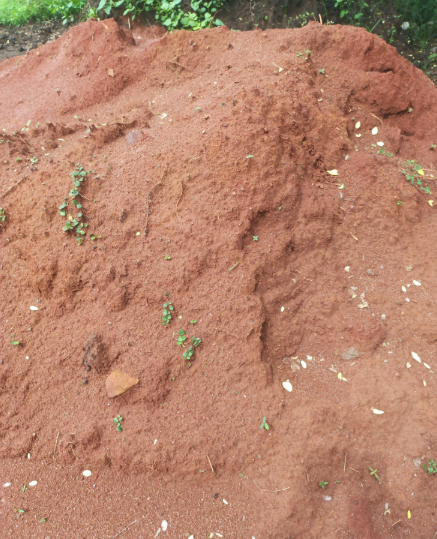 Other image 202510/building-materials-prices-in-anuradhapura-wedabima-211ed518f1.png