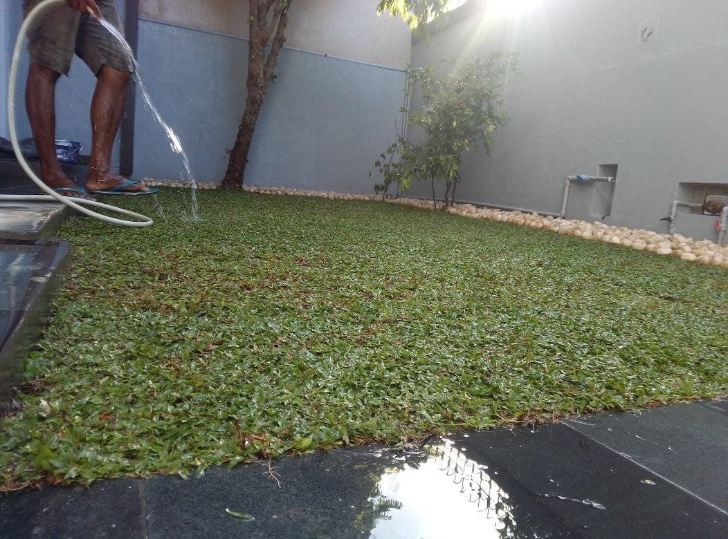 Other image 202510/garden-landscaping-sri-lanka-wedabima-2e151da64b.jpg