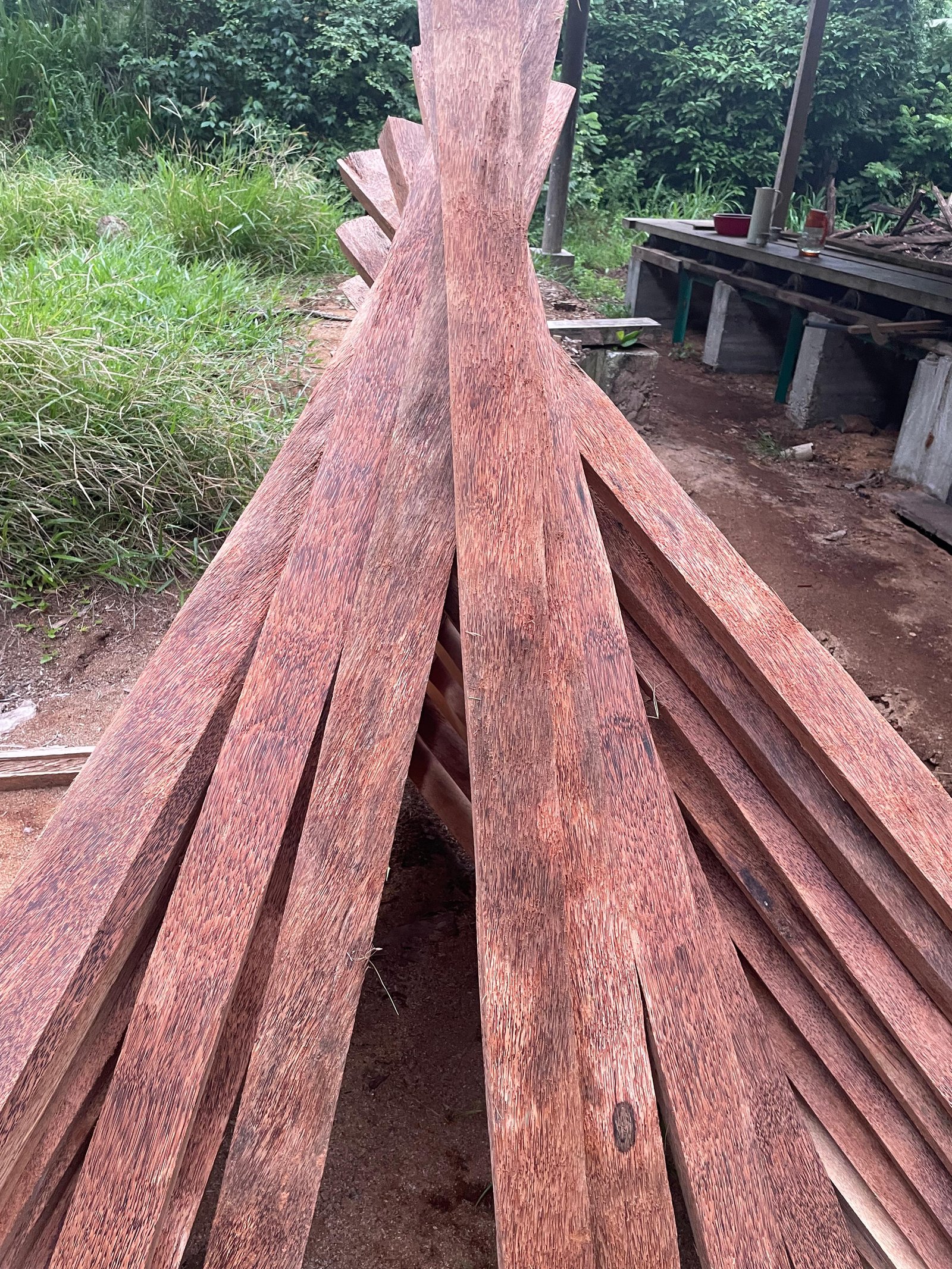 Other image 202510/s-t-k-suppliers-wedabima-1f35859aa0.jpeg