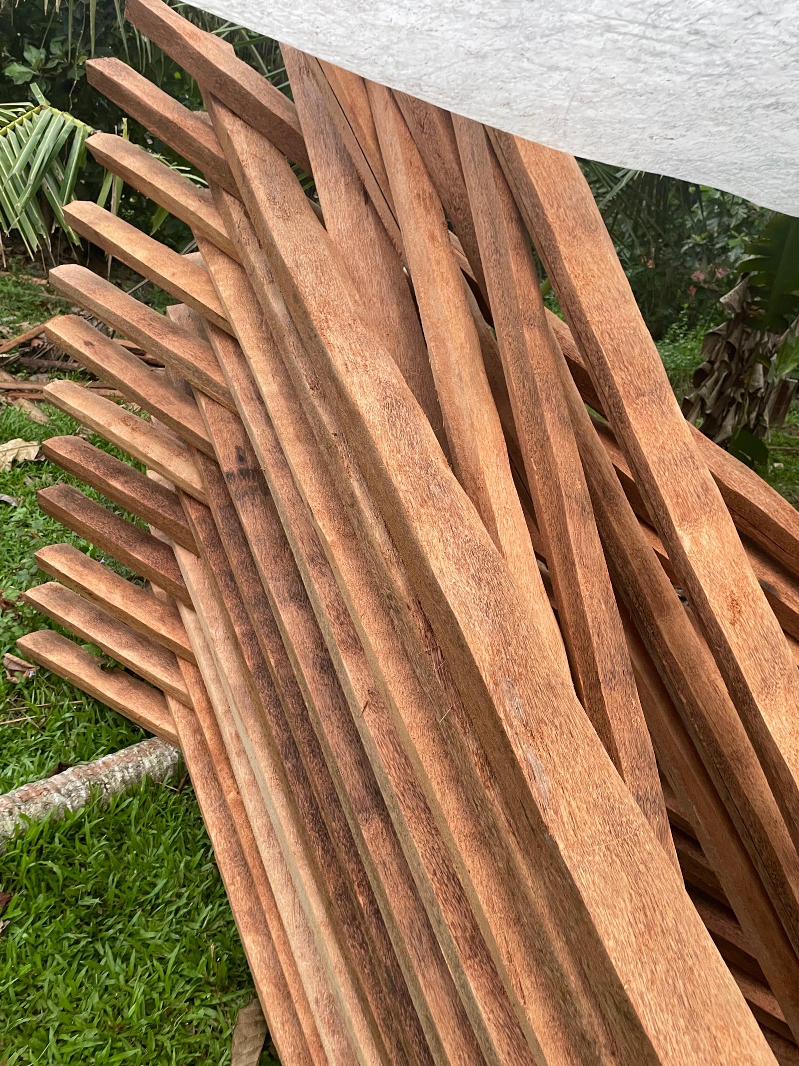 Other image 202510/s-t-k-suppliers-wedabima-69c20621f9.jpeg