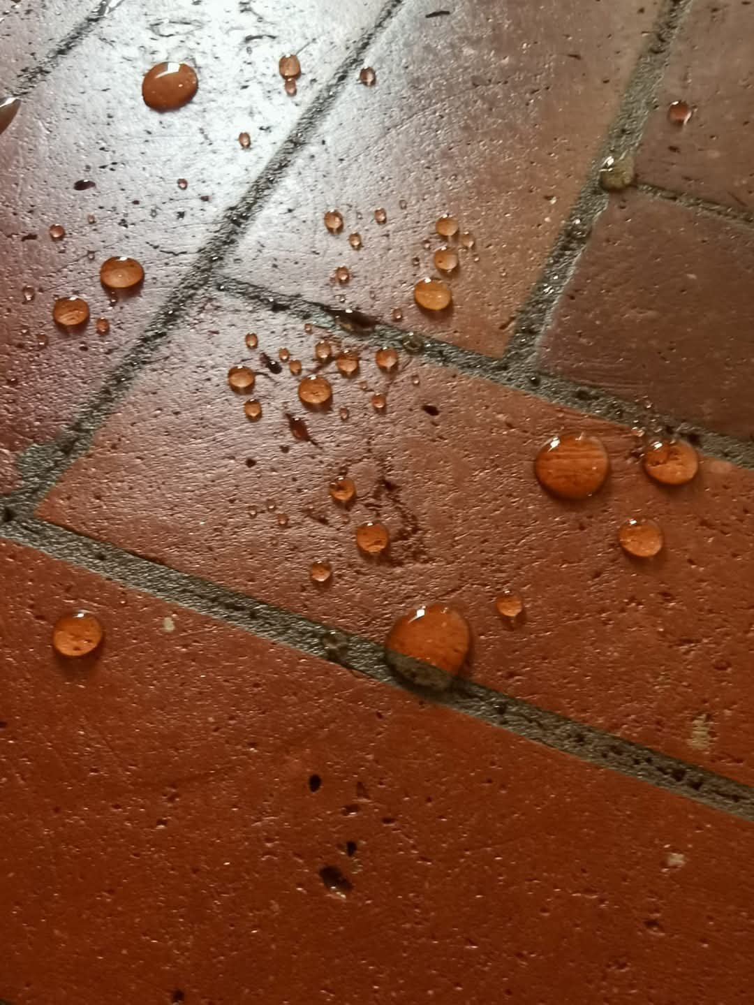 Other image 202510/terracotta-flooring-installation-in-kuliyapitiya-wedabima-2719a17822.jpeg