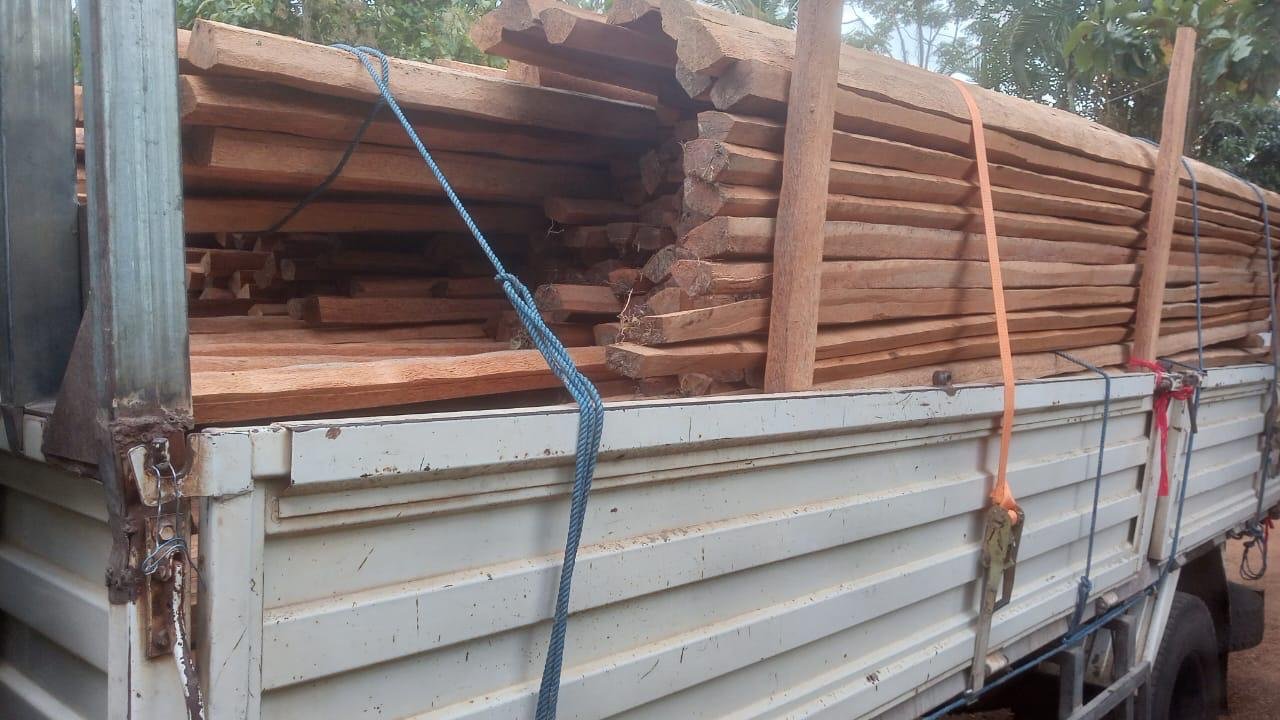 Other image 202510/timber-prices-in-mirigama-wedabima-17d8e26224.jpeg