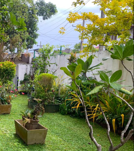 Other image 202511/garden-landscaping-services-in-malwana-wedabima-21a4492d29.png