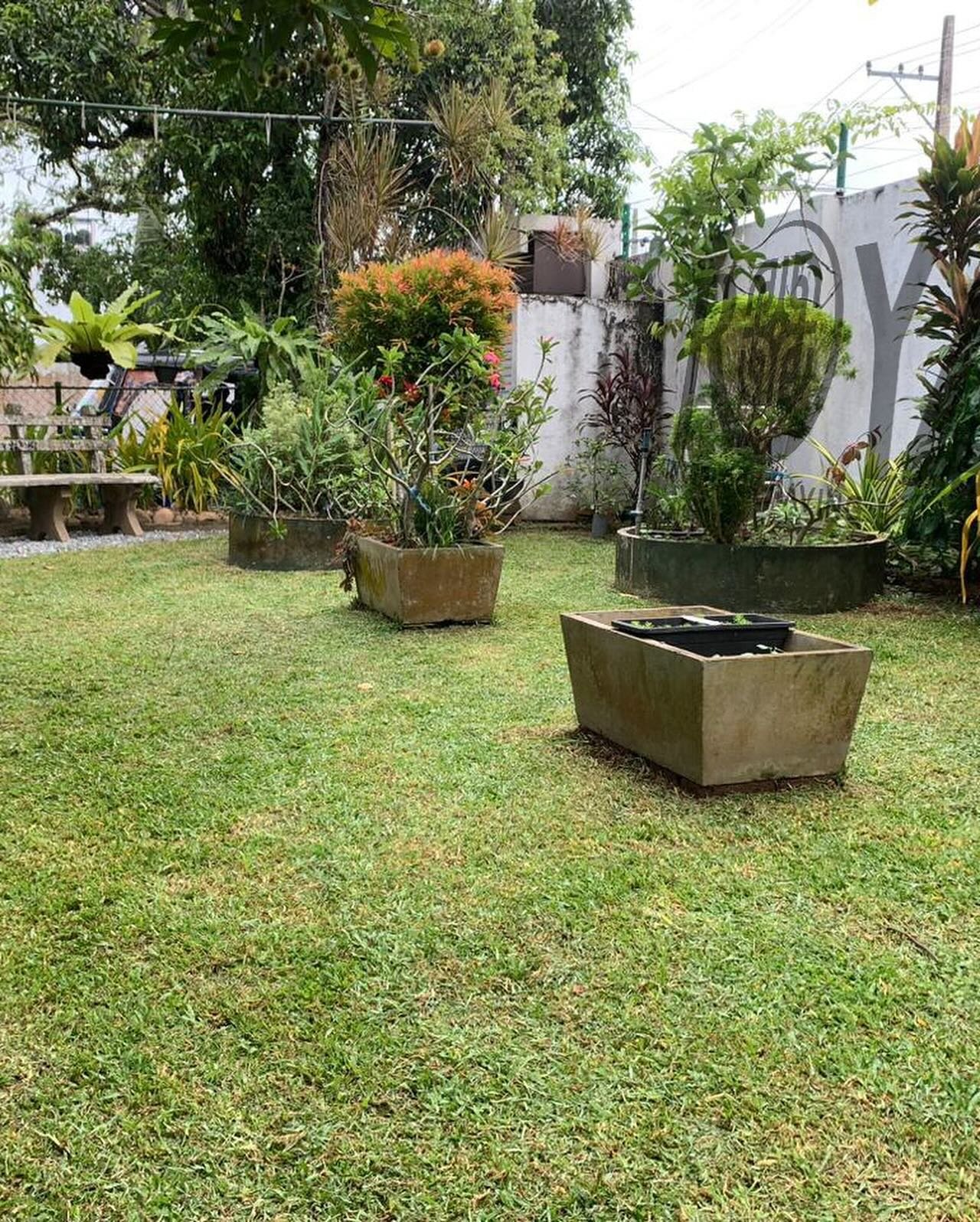 Other image 202511/garden-landscaping-services-in-malwana-wedabima-229087ec09.jpg
