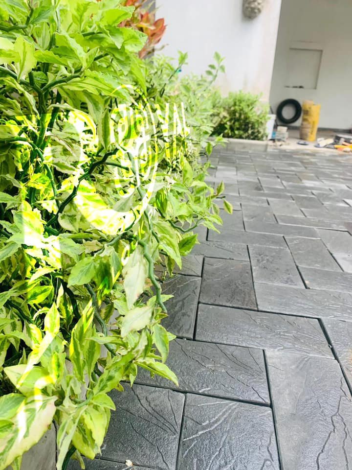 Other image 202511/interlock-paving-companies-in-malwana-sri-lanka-wedabima-811a24613e.jpg