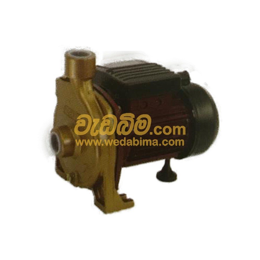 0.75 HP Water Pump