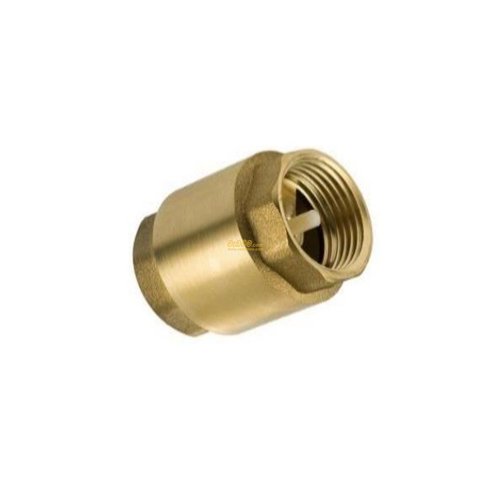 1 Inch Non Return Valve