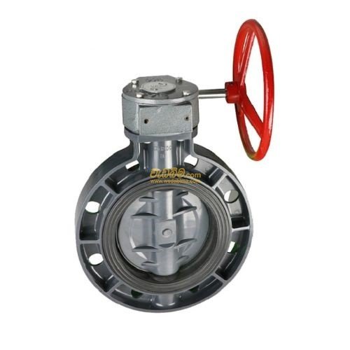 225mm Gear Type Butterfly Valve
